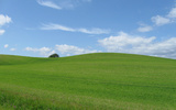 Grüne Hügel